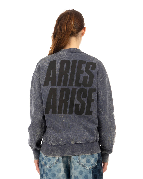ARIES | Flatulant Tiger Sweatshirt Navy - Concrete