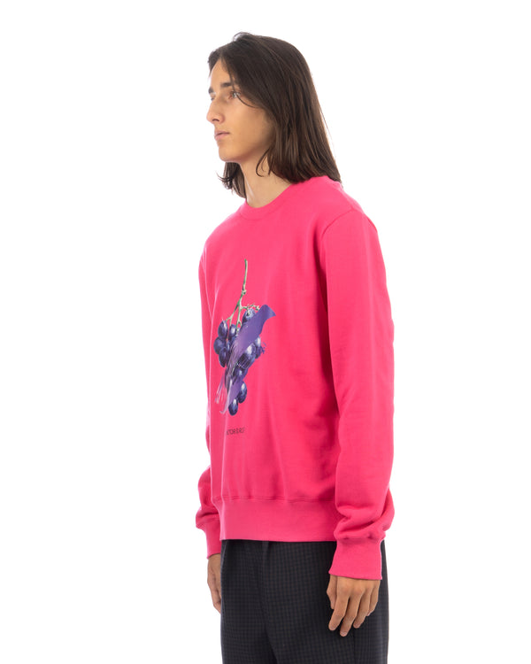 VIKTOR&ROLF | 80s Print Sweatshirt Pink - Concrete